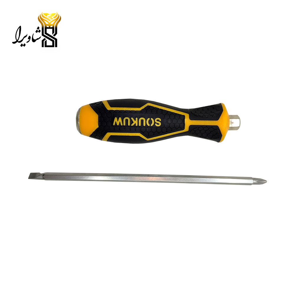 پیچ گوشتی دوکاره