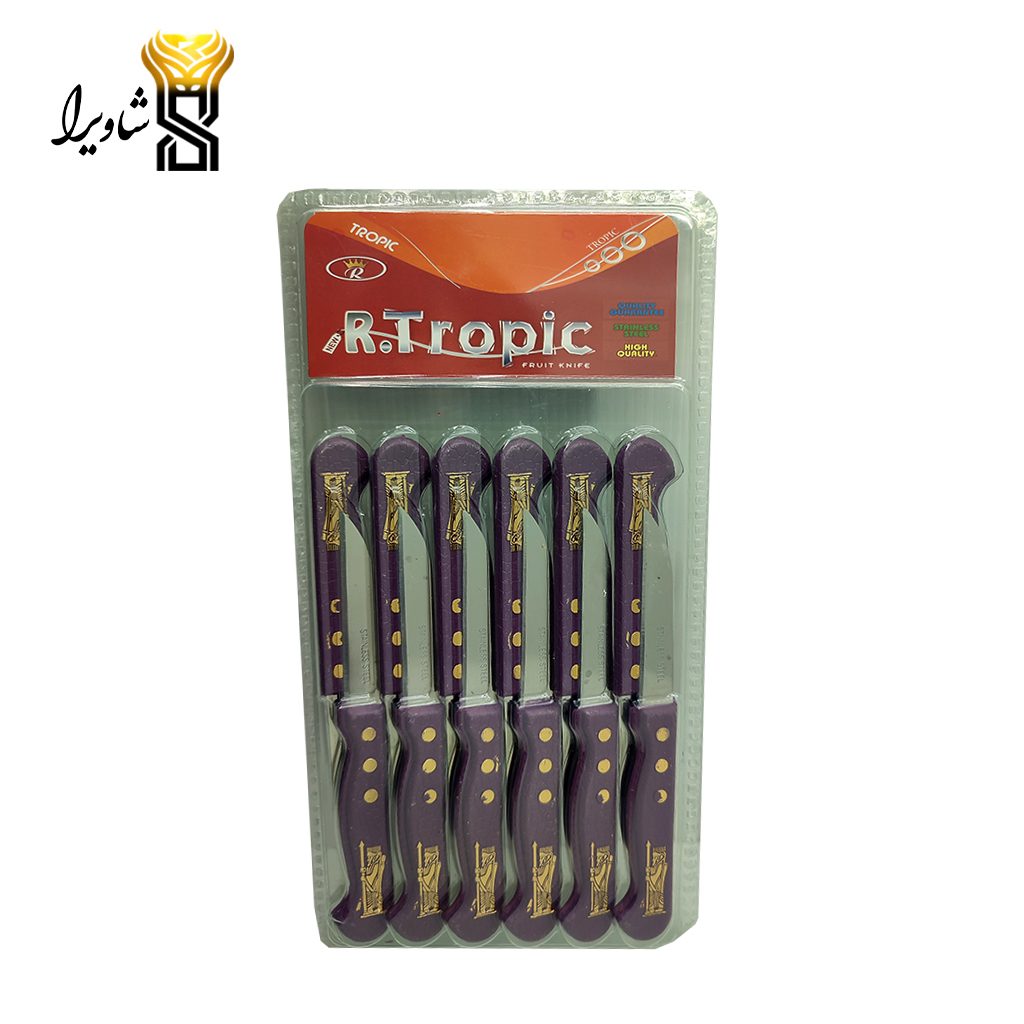 کارد میوه خوری هخامنشی