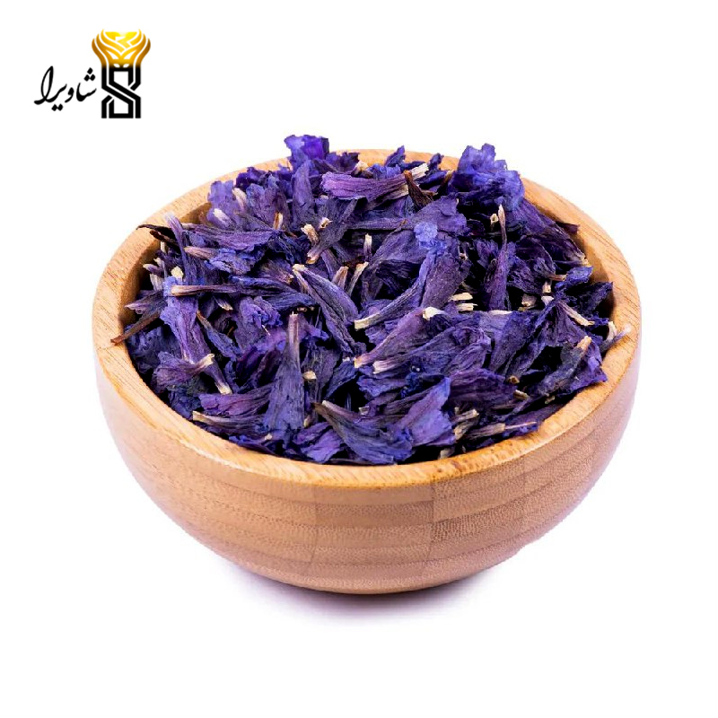 گل گاوزبان شمالی