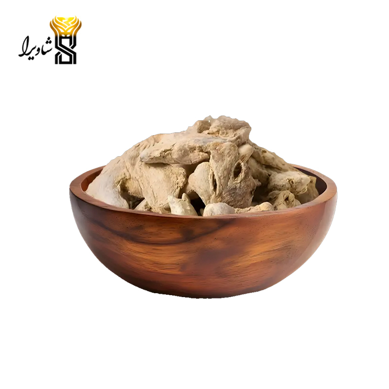 زنجبیل قلم هندی