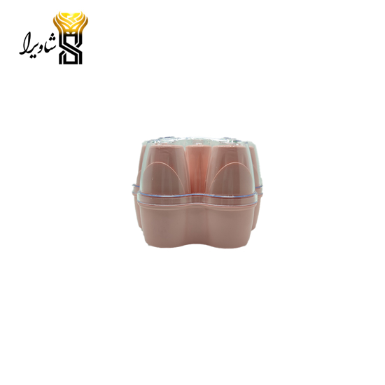 تصویر از نمکپاش ۶ عددی به همراه باکس