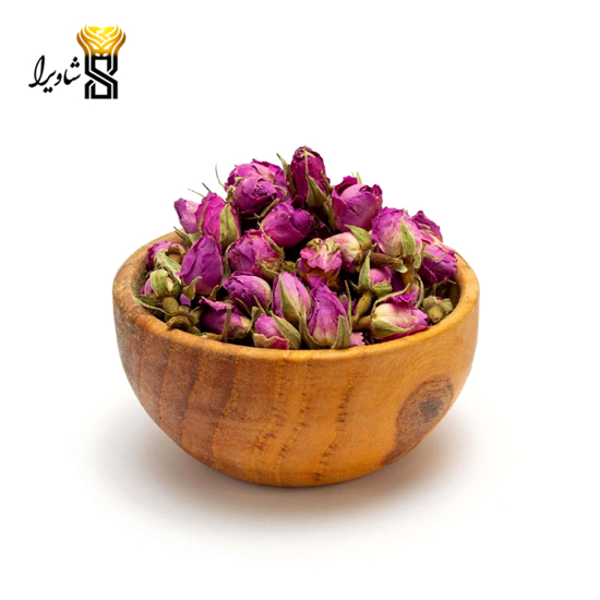 تصویر از غنچه گل محمدی